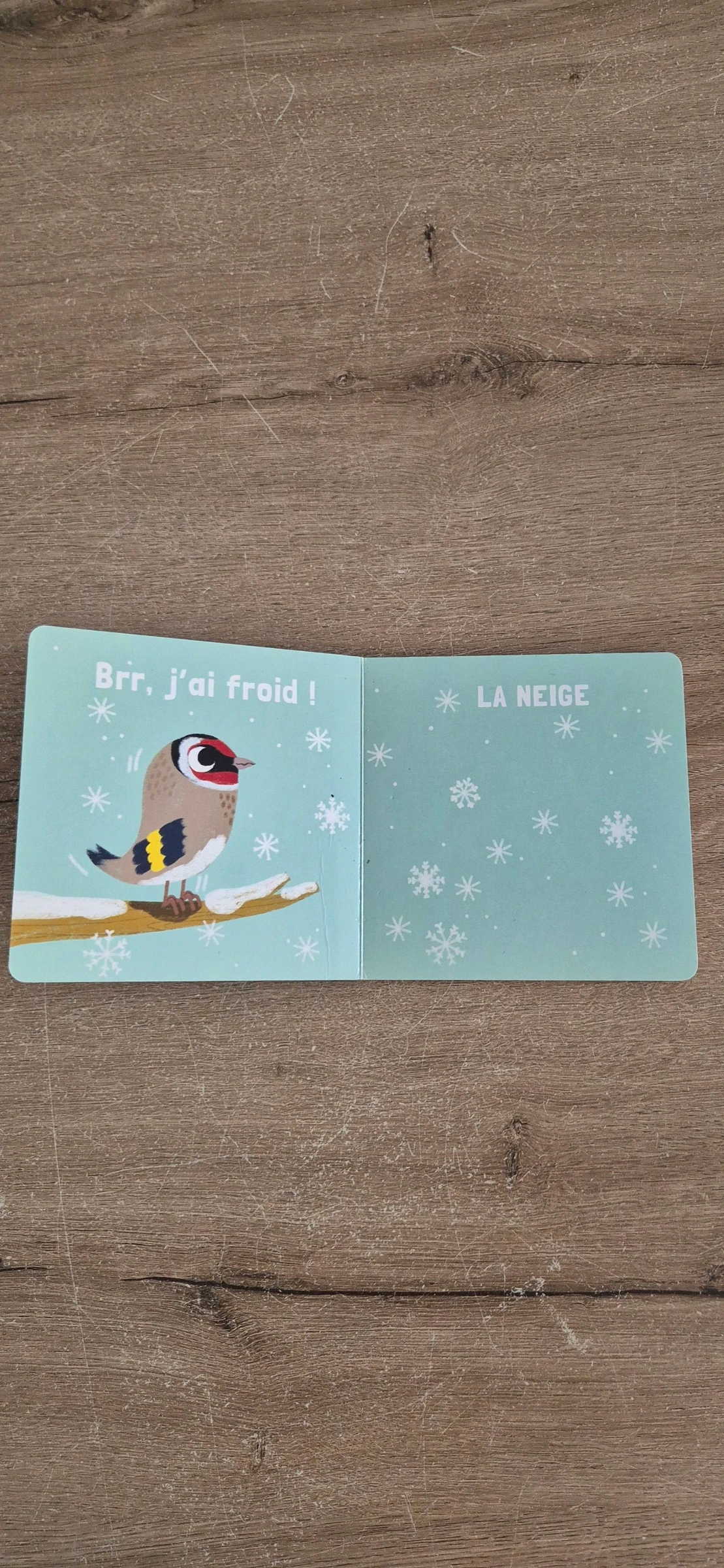 Livre Le temps qu'il fait  – photo 2